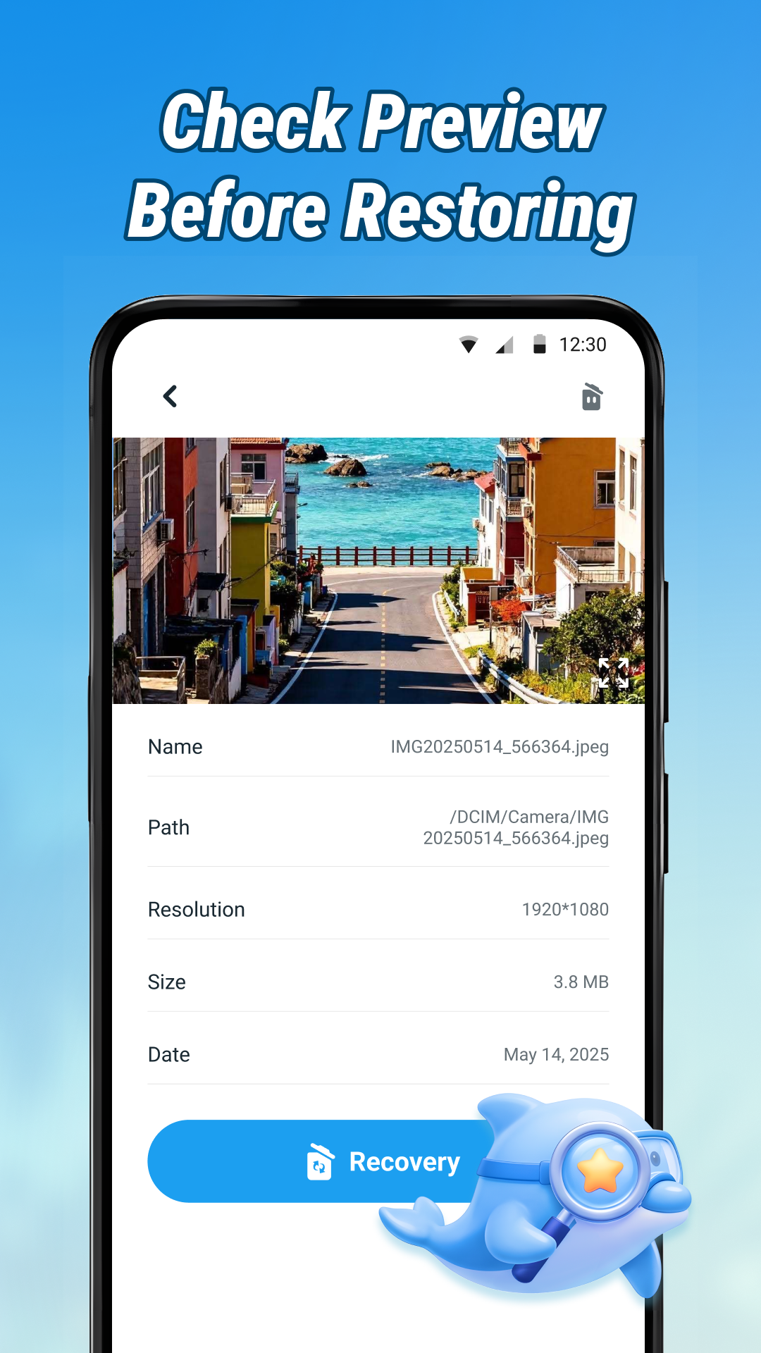 Photo recovery selection screen